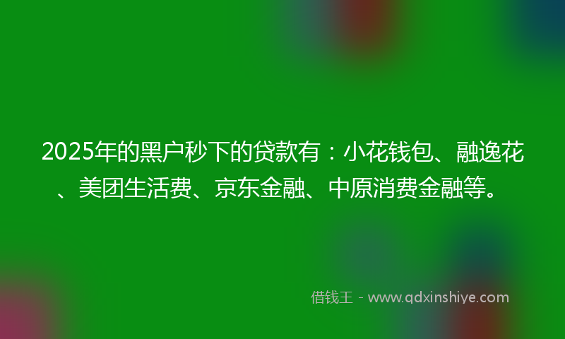 2025年的黑户秒下的贷款有：小花钱包、融逸花、美团生活费、京东金融、中原消费金融等。
