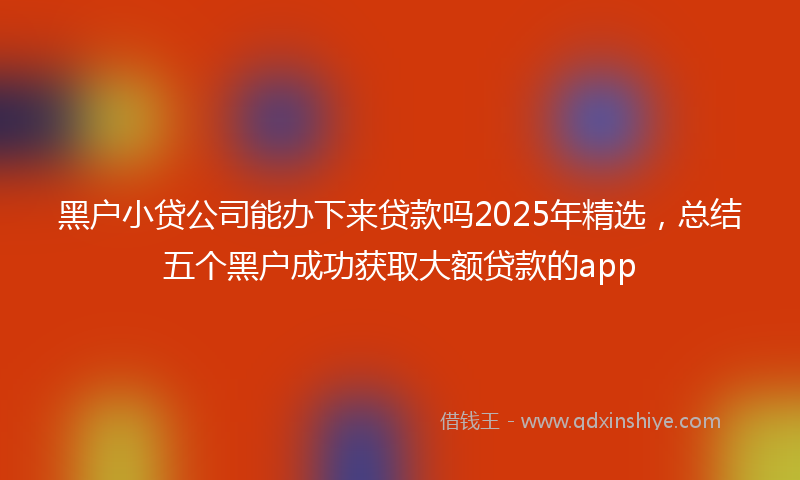 黑户小贷公司能办下来贷款吗2025年精选，总结五个黑户成功获取大额贷款的app