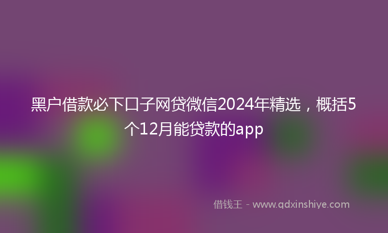 黑户借款必下口子网贷微信2024年精选，概括5个12月能贷款的app