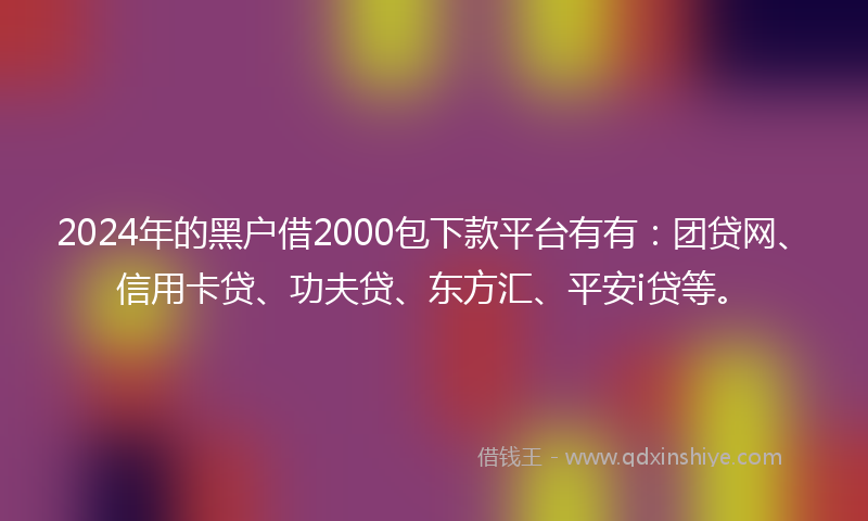 2024年的黑户借2000包下款平台有有：团贷网、信用卡贷、功夫贷、东方汇、平安i贷等。