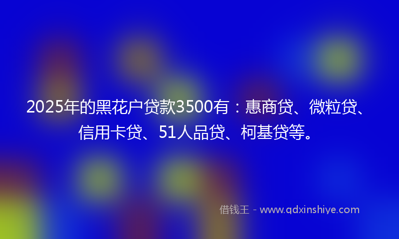 2025年的黑花户贷款3500有：惠商贷、微粒贷、信用卡贷、51人品贷、柯基贷等。