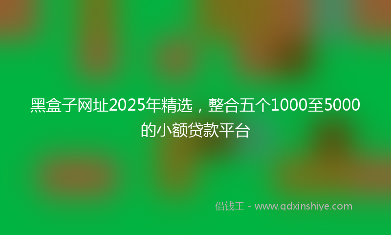 黑盒子网址2025年精选，整合五个1000至5000的小额贷款平台