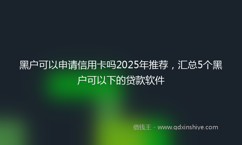 黑户可以申请信用卡吗2025年推荐，汇总5个黑户可以下的贷款软件