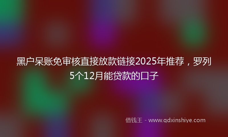 黑户呆账免审核直接放款链接2025年推荐，罗列5个12月能贷款的口子