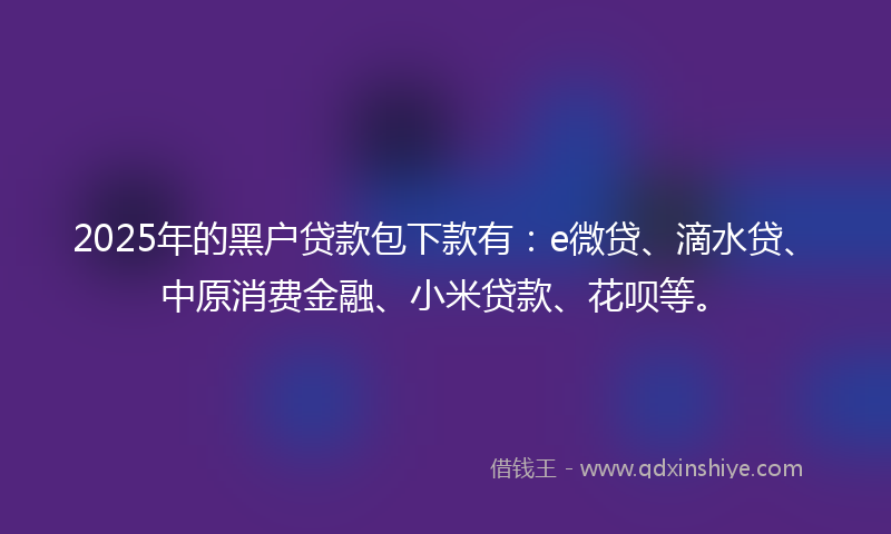 2025年的黑户贷款包下款有：e微贷、滴水贷、中原消费金融、小米贷款、花呗等。