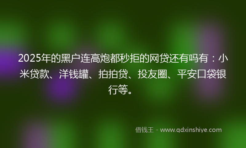 2025年的黑户连高炮都秒拒的网贷还有吗有：小米贷款、洋钱罐、拍拍贷、投友圈、平安口袋银行等。