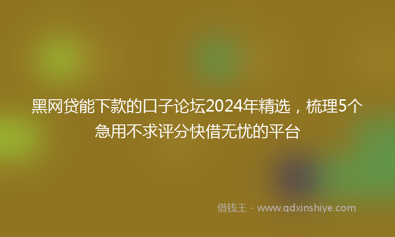 黑网贷能下款的口子论坛2024年精选，梳理5个急用不求评分快借无忧的平台