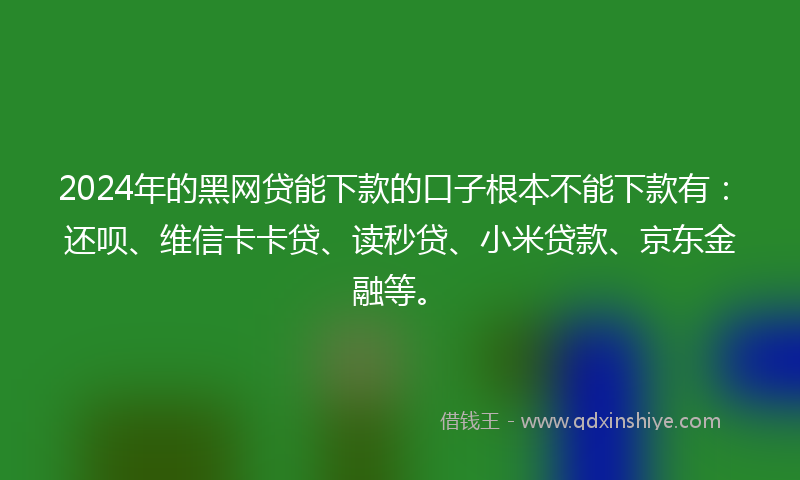 2024年的黑网贷能下款的口子根本不能下款有：还呗、维信卡卡贷、读秒贷、小米贷款、京东金融等。