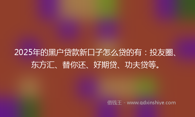 2025年的黑户贷款新口子怎么贷的有：投友圈、东方汇、替你还、好期贷、功夫贷等。