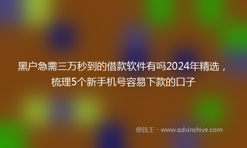 黑户急需三万秒到的借款软件有吗2024年精选，梳理5个新手机号容易下款的口子