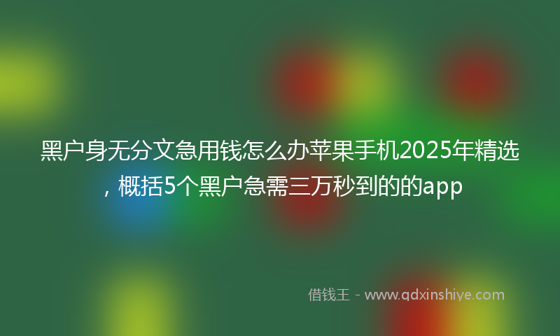 黑户身无分文急用钱怎么办苹果手机2025年精选，概括5个黑户急需三万秒到的的app