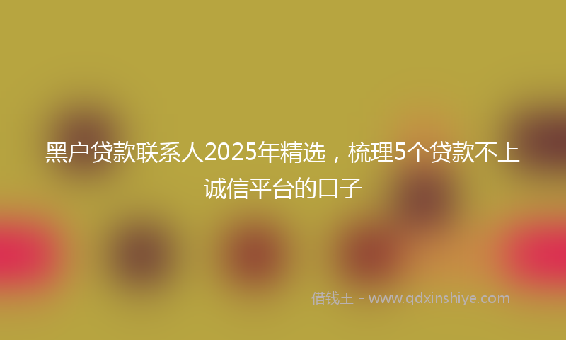 黑户贷款联系人2025年精选，梳理5个贷款不上诚信平台的口子