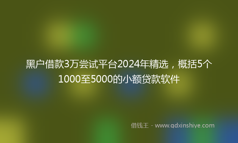 黑户借款3万尝试平台2024年精选，概括5个1000至5000的小额贷款软件