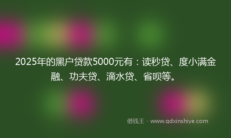2025年的黑户贷款5000元有：读秒贷、度小满金融、功夫贷、滴水贷、省呗等。