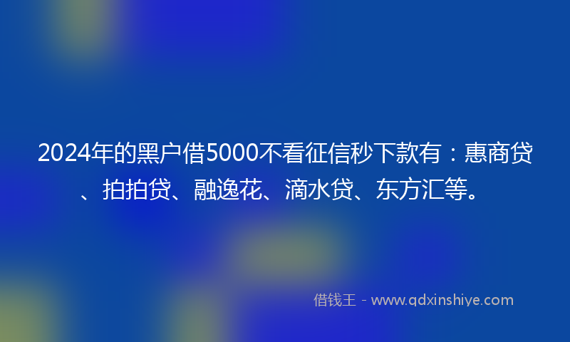 2024年的黑户借5000不看征信秒下款有：惠商贷、拍拍贷、融逸花、滴水贷、东方汇等。