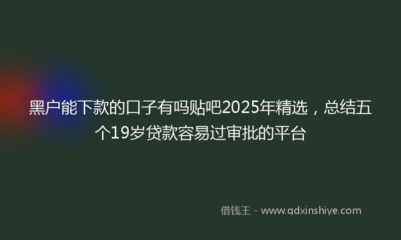 黑户能下款的口子有吗贴吧2025年精选，总结五个19岁贷款容易过审批的平台
