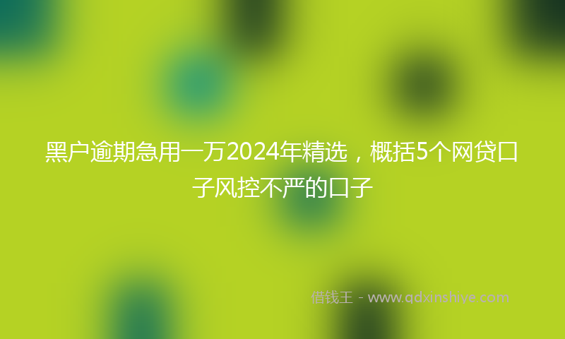 黑户逾期急用一万2024年精选，概括5个网贷口子风控不严的口子