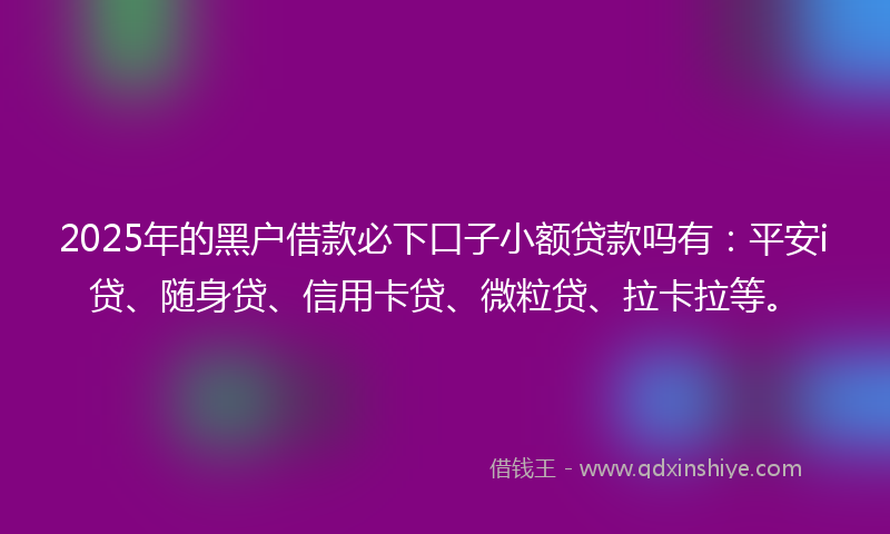 2025年的黑户借款必下口子小额贷款吗有：平安i贷、随身贷、信用卡贷、微粒贷、拉卡拉等。