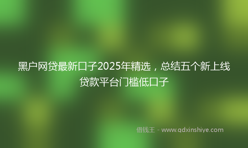 黑户网贷最新口子2025年精选，总结五个新上线贷款平台门槛低口子