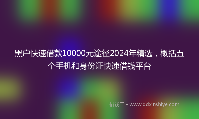 黑户快速借款10000元途径2024年精选，概括五个手机和身份证快速借钱平台