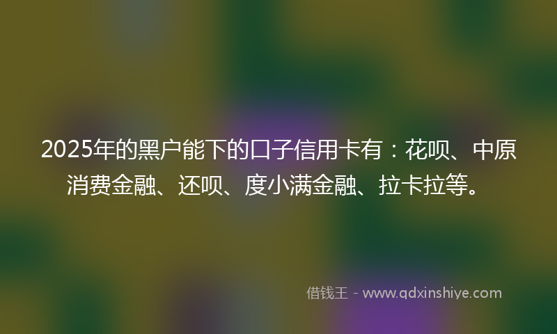 2025年的黑户能下的口子信用卡有：花呗、中原消费金融、还呗、度小满金融、拉卡拉等。