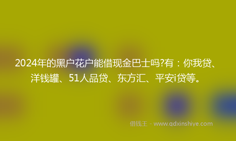 2024年的黑户花户能借现金巴士吗?有：你我贷、洋钱罐、51人品贷、东方汇、平安i贷等。