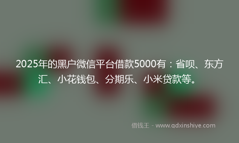 2025年的黑户微信平台借款5000有：省呗、东方汇、小花钱包、分期乐、小米贷款等。
