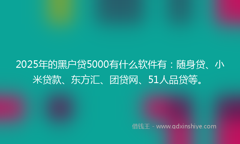 2025年的黑户贷5000有什么软件有：随身贷、小米贷款、东方汇、团贷网、51人品贷等。