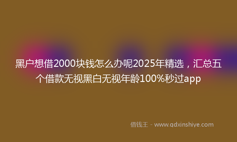 黑户想借2000块钱怎么办呢2025年精选，汇总五个借款无视黑白无视年龄100%秒过app