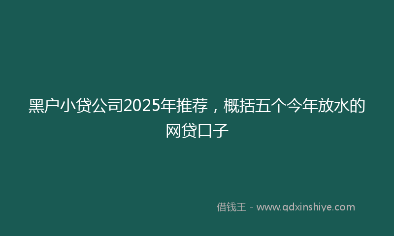 黑户小贷公司2025年推荐，概括五个今年放水的网贷口子