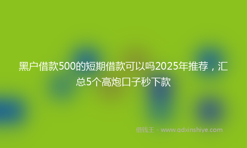 黑户借款500的短期借款可以吗2025年推荐，汇总5个高炮口子秒下款