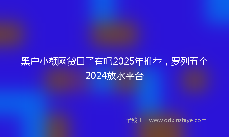 黑户小额网贷口子有吗2025年推荐，罗列五个2024放水平台