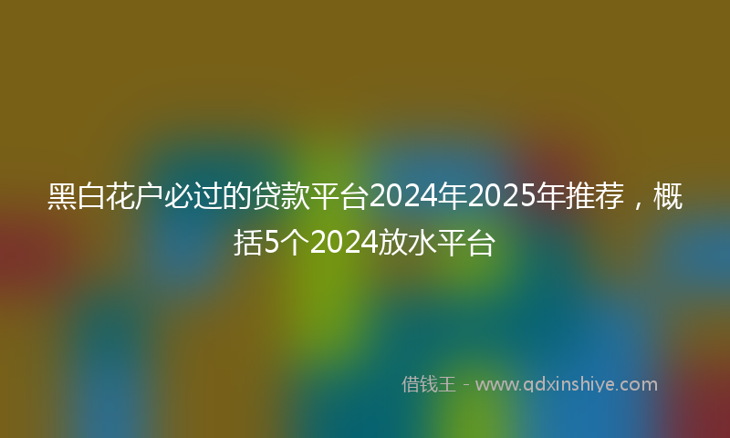 黑白花户必过的贷款平台2024年2025年推荐，概括5个2024放水平台