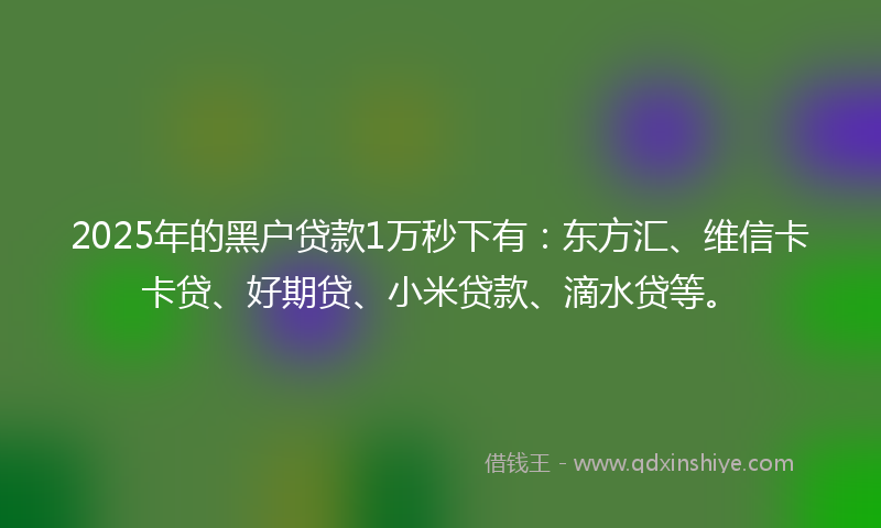 2025年的黑户贷款1万秒下有：东方汇、维信卡卡贷、好期贷、小米贷款、滴水贷等。