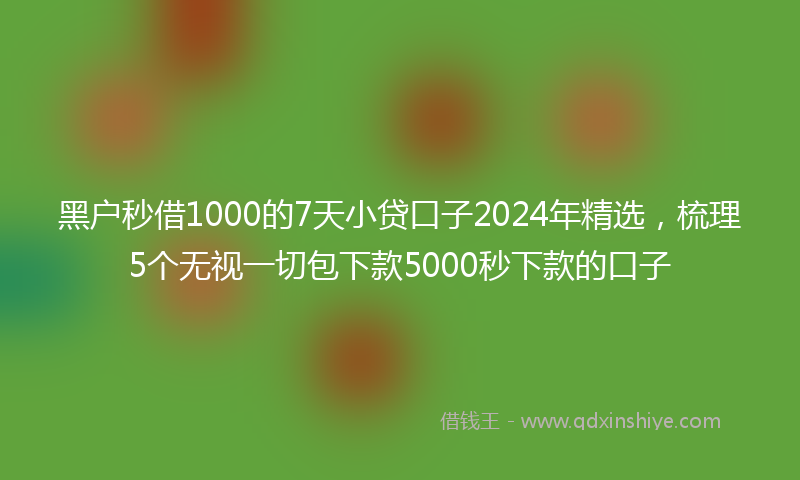 黑户秒借1000的7天小贷口子2024年精选，梳理5个无视一切包下款5000秒下款的口子