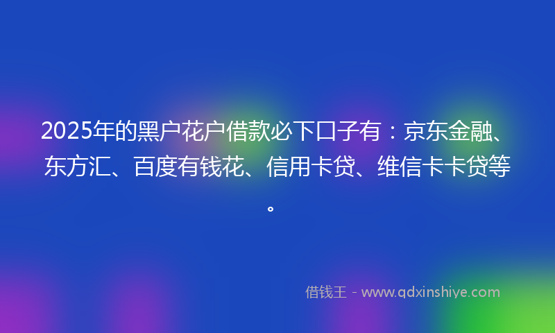 2025年的黑户花户借款必下口子有：京东金融、东方汇、百度有钱花、信用卡贷、维信卡卡贷等。