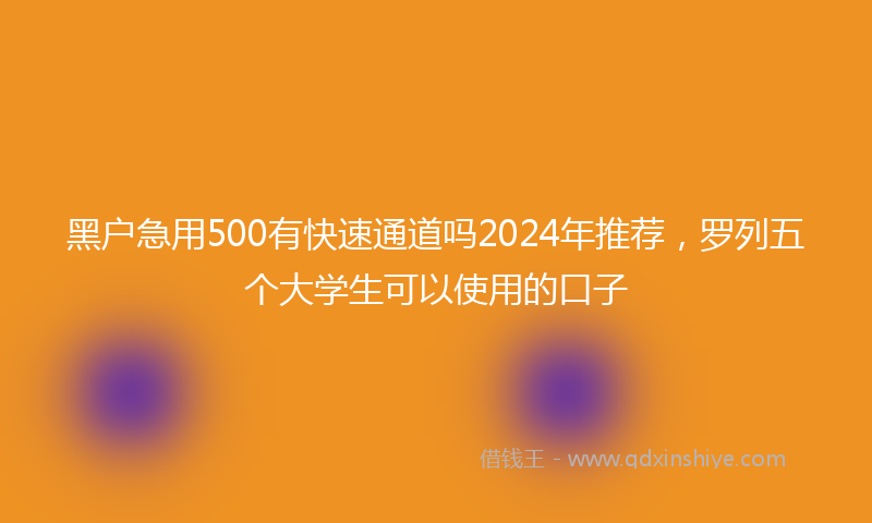 黑户急用500有快速通道吗2024年推荐，罗列五个大学生可以使用的口子