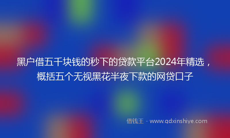 黑户借五千块钱的秒下的贷款平台2024年精选，概括五个无视黑花半夜下款的网贷口子