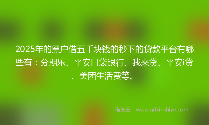 2025年的黑户借五千块钱的秒下的贷款平台有哪些有：分期乐、平安口袋银行、我来贷、平安i贷、美团生活费等。