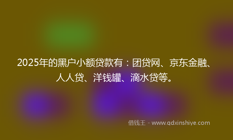 2025年的黑户小额贷款有：团贷网、京东金融、人人贷、洋钱罐、滴水贷等。