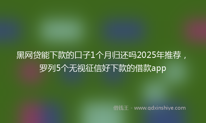 黑网贷能下款的口子1个月归还吗2025年推荐，罗列5个无视征信好下款的借款app