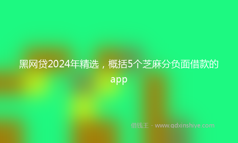黑网贷2024年精选，概括5个芝麻分负面借款的app