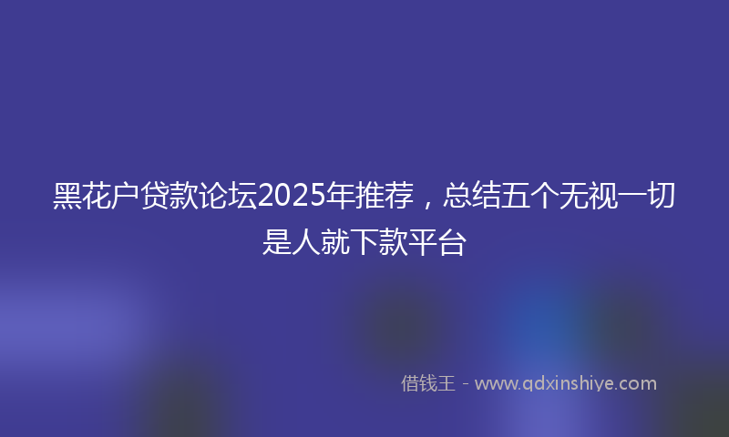 黑花户贷款论坛2025年推荐，总结五个无视一切是人就下款平台
