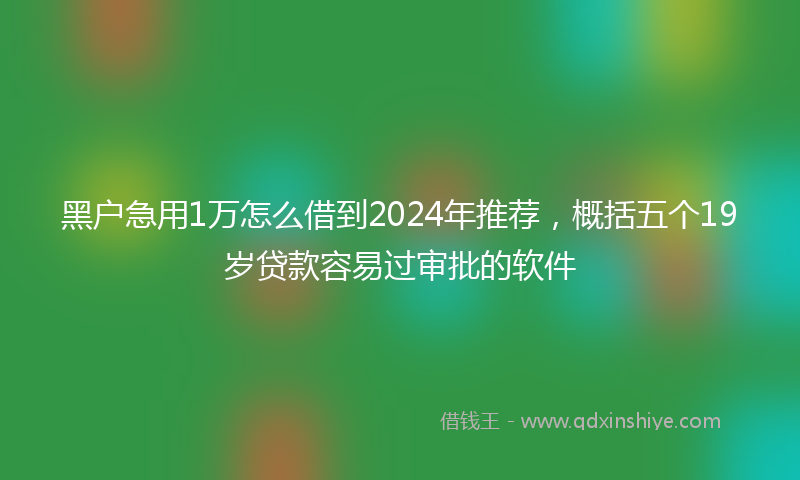黑户急用1万怎么借到2024年推荐，概括五个19岁贷款容易过审批的软件