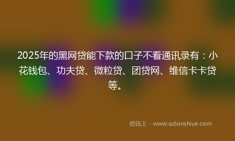2025年的黑网贷能下款的口子不看通讯录有：小花钱包、功夫贷、微粒贷、团贷网、维信卡卡贷等。