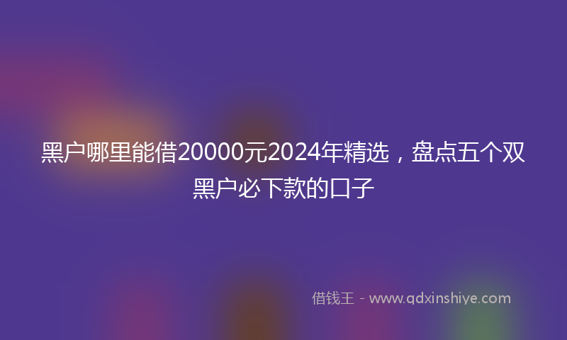 黑户哪里能借20000元2024年精选，盘点五个双黑户必下款的口子