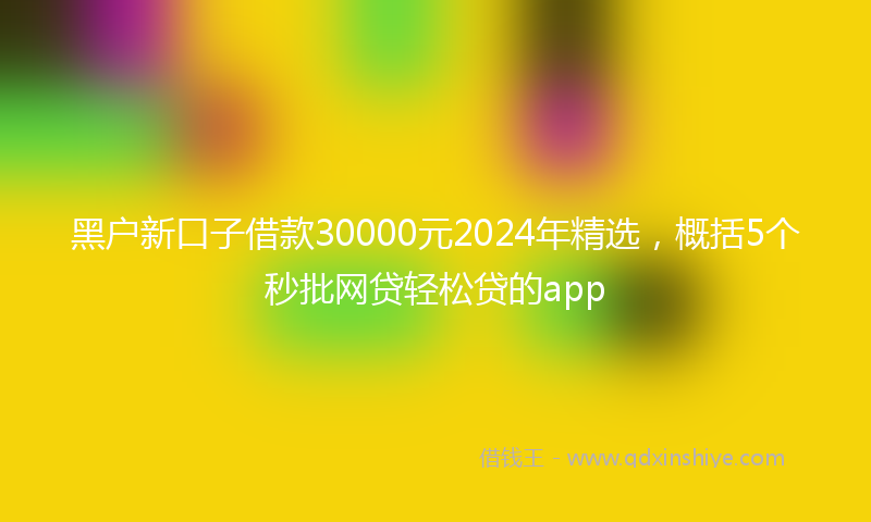 黑户新口子借款30000元2024年精选，概括5个秒批网贷轻松贷的app