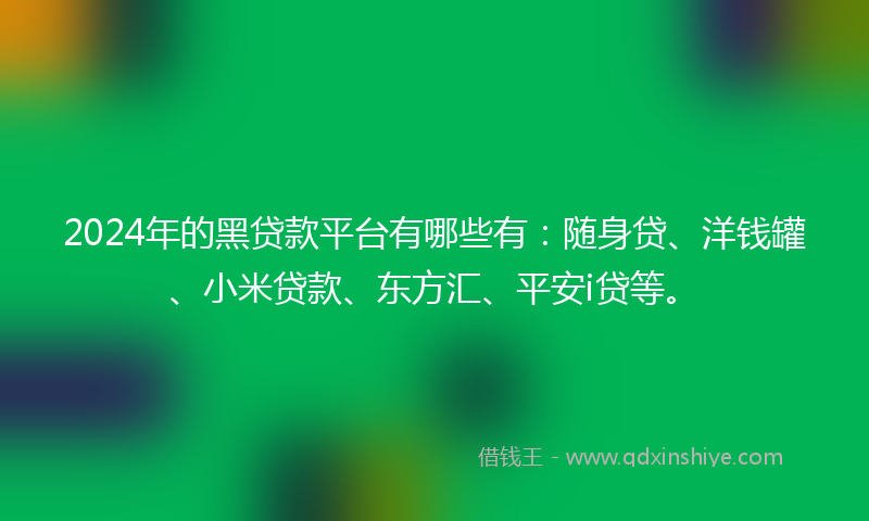 2024年的黑贷款平台有哪些有：随身贷、洋钱罐、小米贷款、东方汇、平安i贷等。