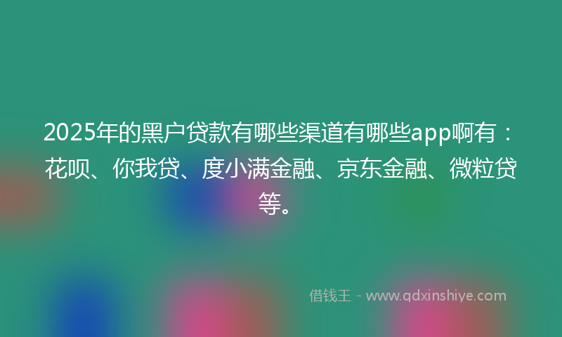 2025年的黑户贷款有哪些渠道有哪些app啊有：花呗、你我贷、度小满金融、京东金融、微粒贷等。
