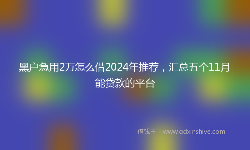 黑户急用2万怎么借2024年推荐，汇总五个11月能贷款的平台